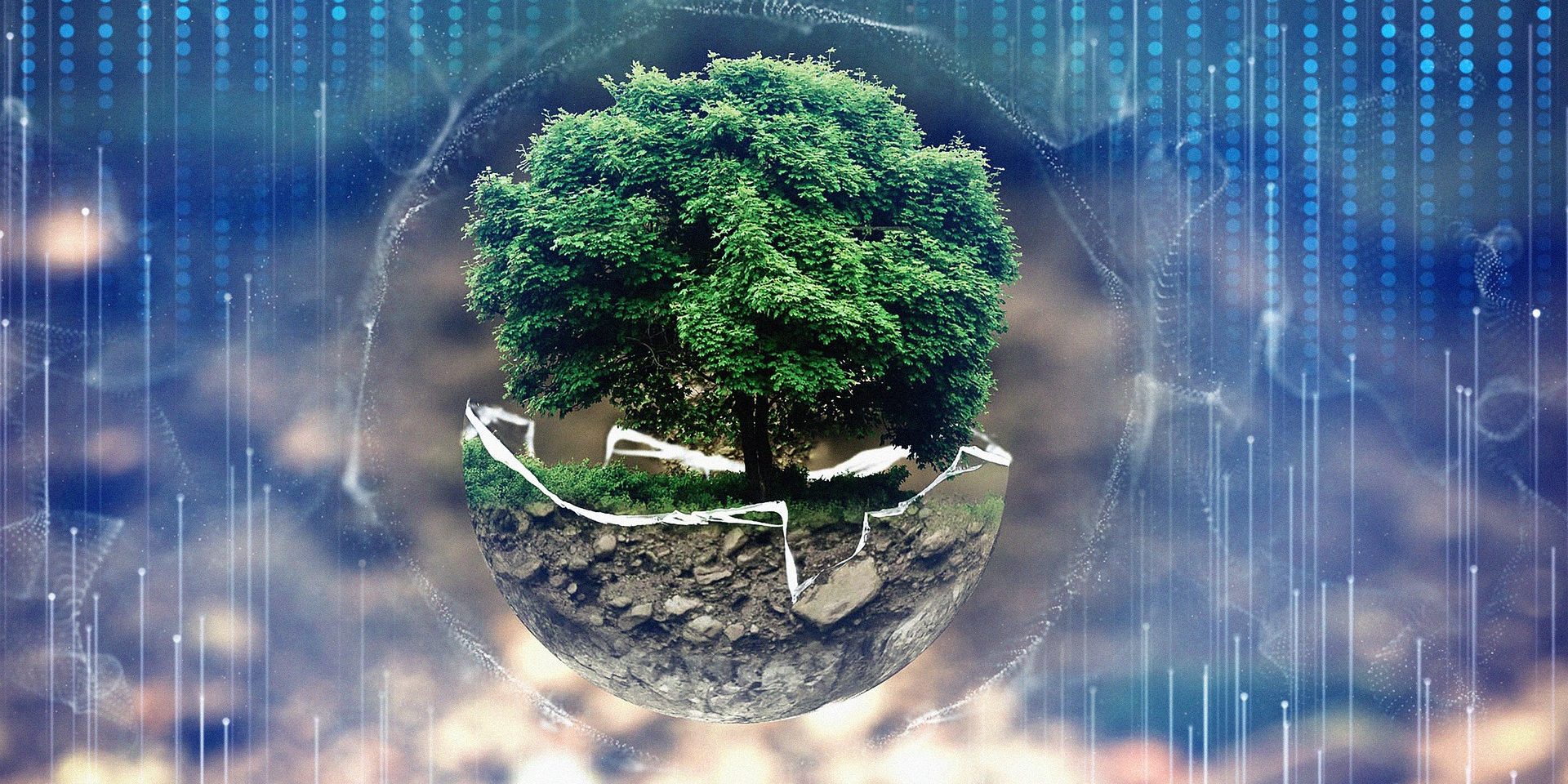 forest-gfc0f5a64d_1920